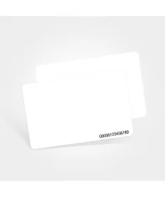 Access Control Cards | P-Rfid iAccess